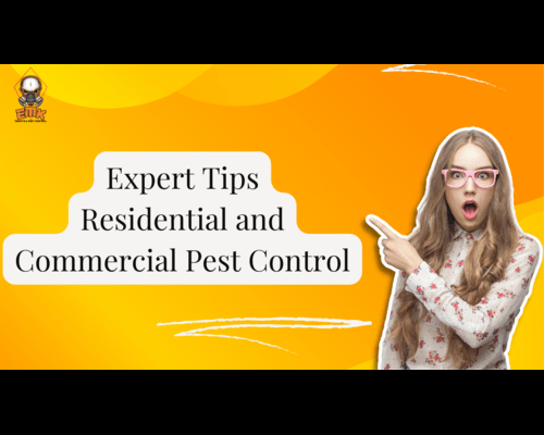 Expert Tips for Residential and Commercial Pest Control Management