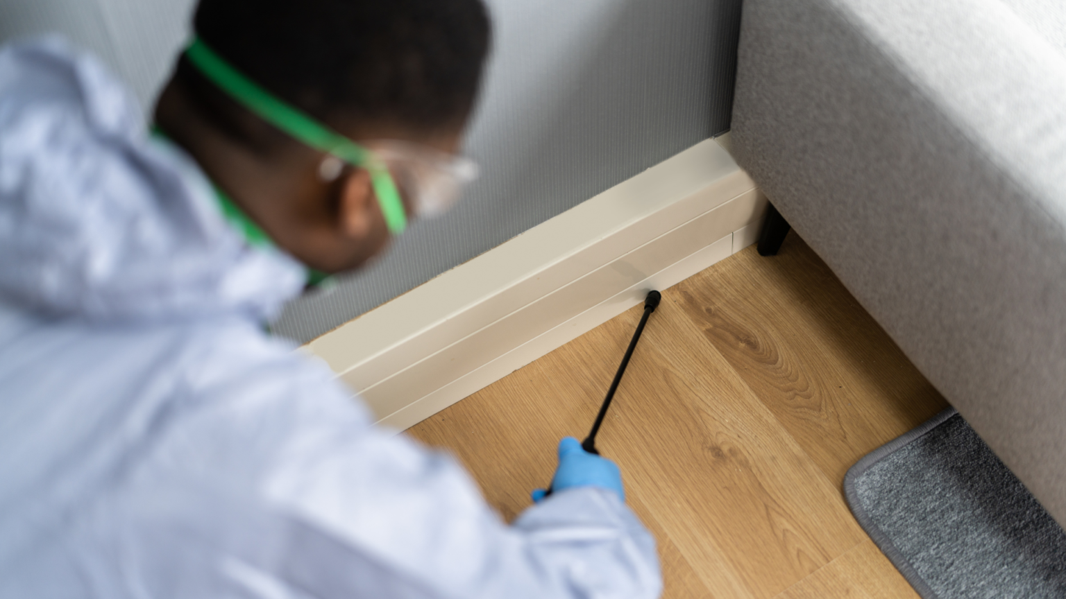 Termite Treatment | EMK Termite & Pest Control