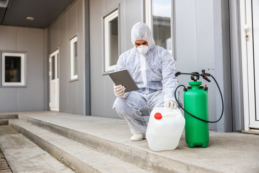Termite Treatment