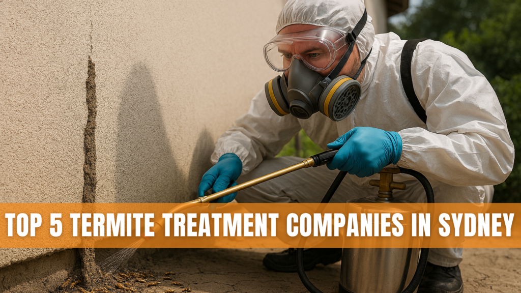 Top 5 Termite Treatment Companies in Sydney