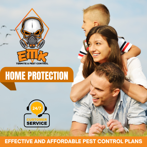 Sydney Pest Control