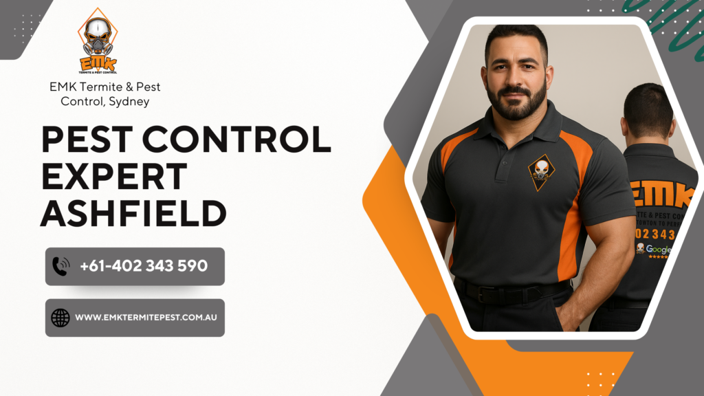 Pest Control Ashfield