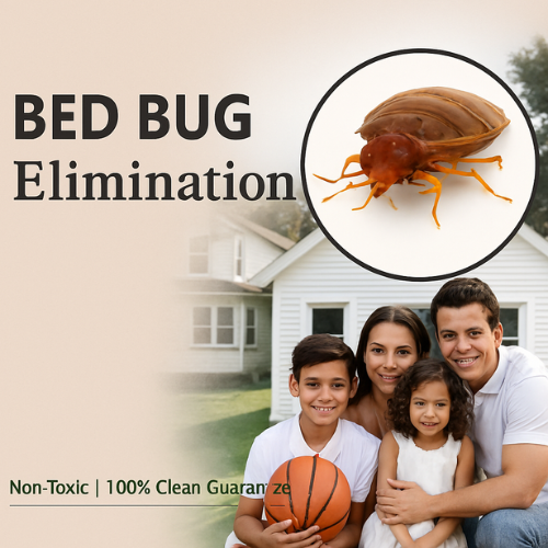 bed bug control