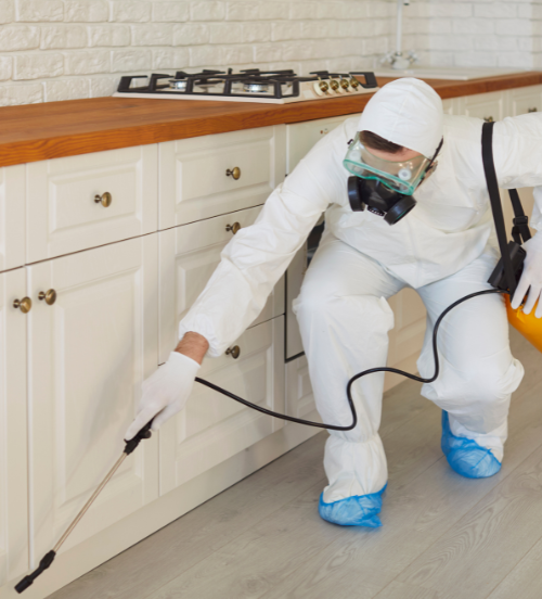Residential Pest Control Ashfield