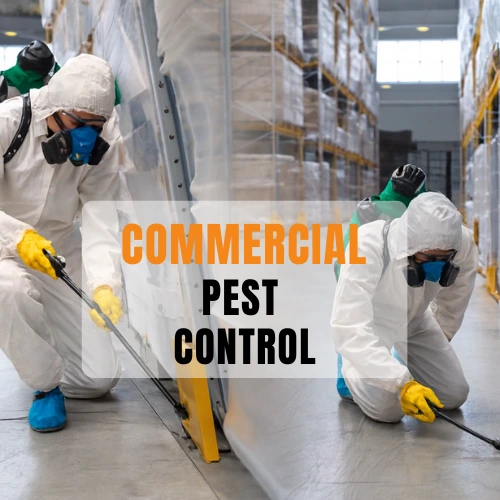 Commercial Pest Management