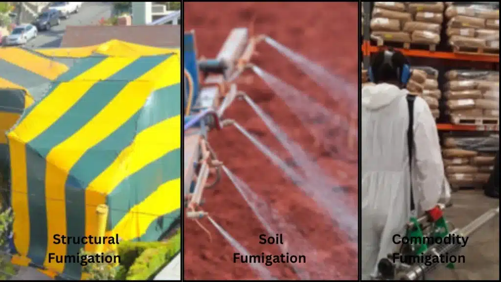 Types of Fumigations