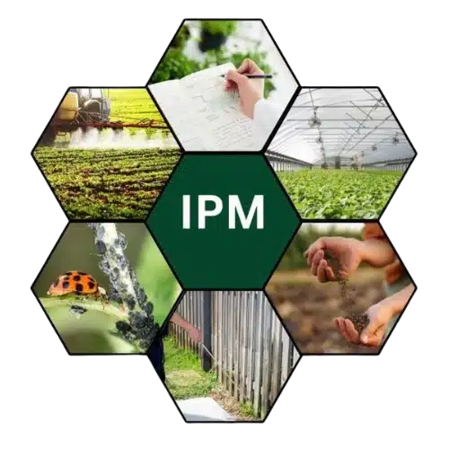 Integrated Pest Management