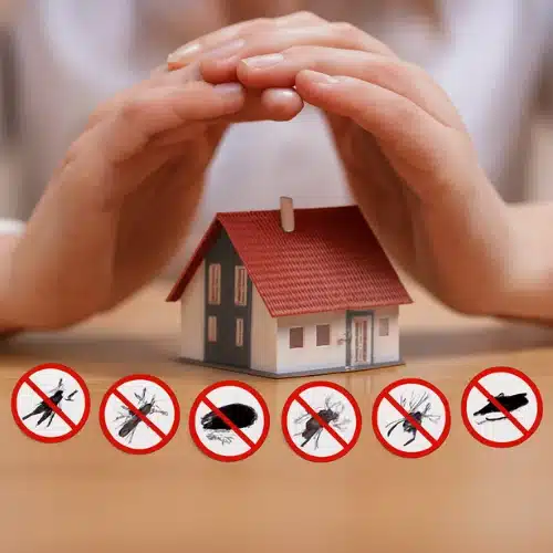 Real Estate Pest Commercial