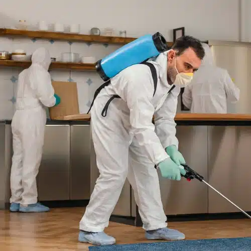 Pest Treatment