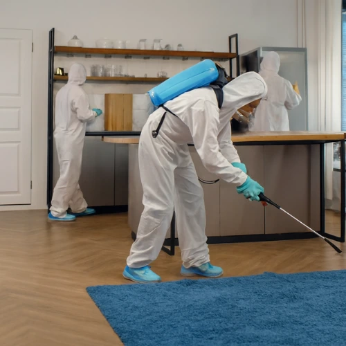 tourism pest control
