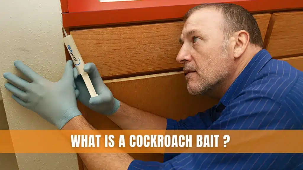 What Is a Cockroach Bait ?