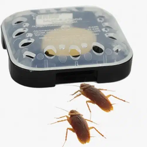 how does cockroach bait works
