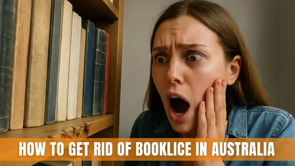 How To Get Rid Of Booklice