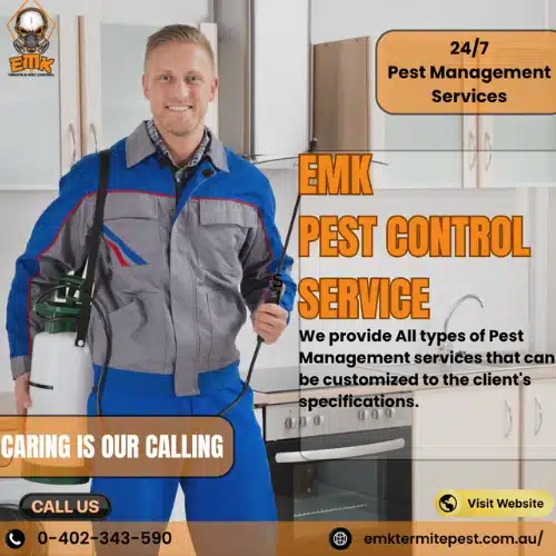 EMK Spider Pest Control Sydney