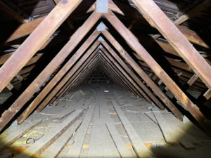 Roof void inspection showing attic structure for rodent and pest control Sydney