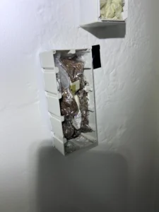 Termite Baiting System