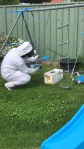 Bee Removal Service