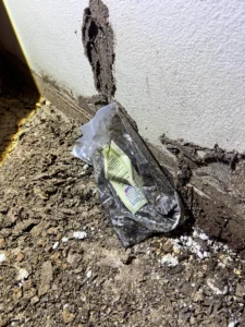 termite bait installation near mud tubes Sydney termite control pest service