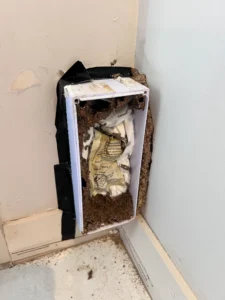 active termite bait station indoors Sydney termite control pest service