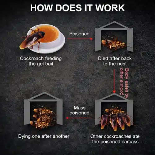 How Does Cockroach Poison Bait Work?