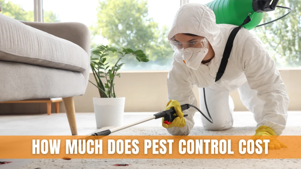 How Much Does Pest Control Cost