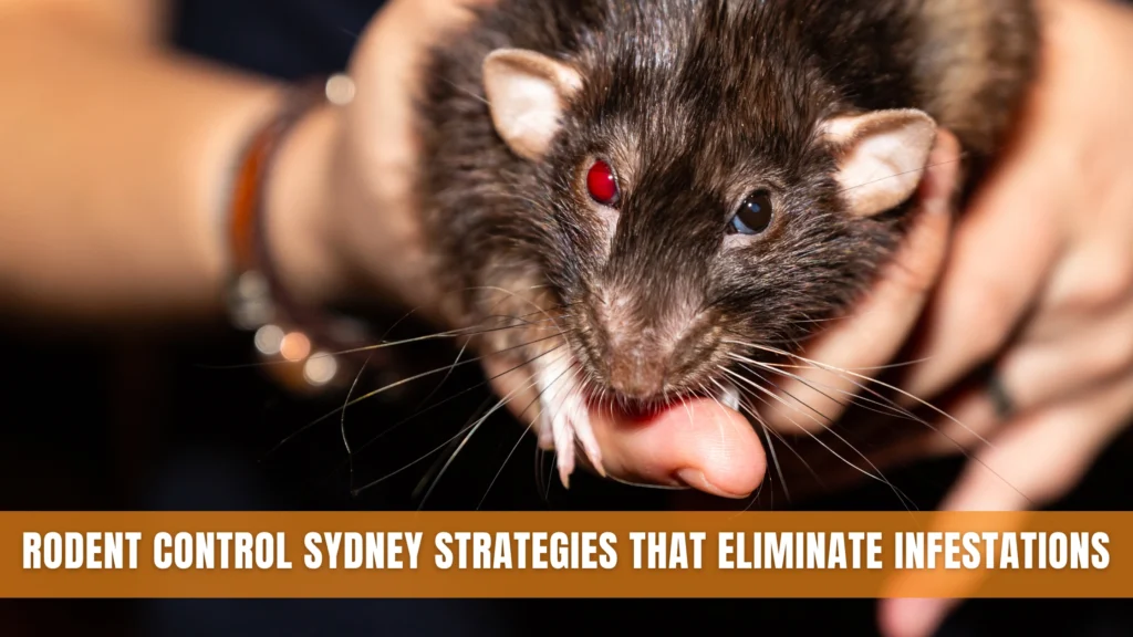 Rodent Control Sydney