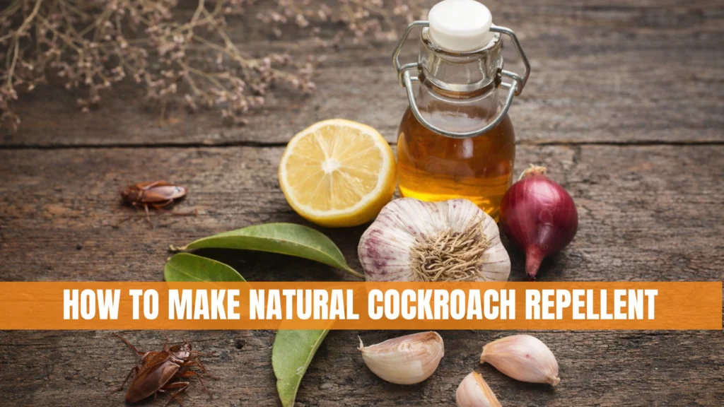 DIY Cockroach Repellent