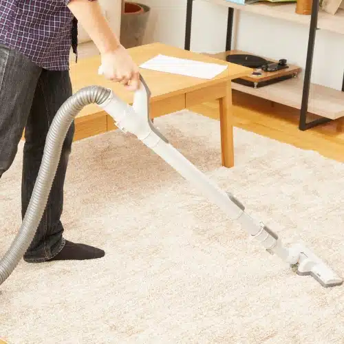 How to Get Rid of Carpet Moths