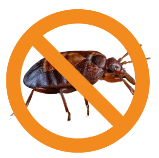 cockroach icon