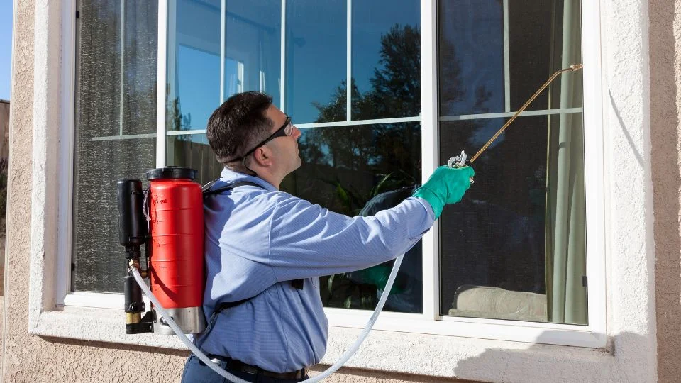 Senior Termite Control Technician
