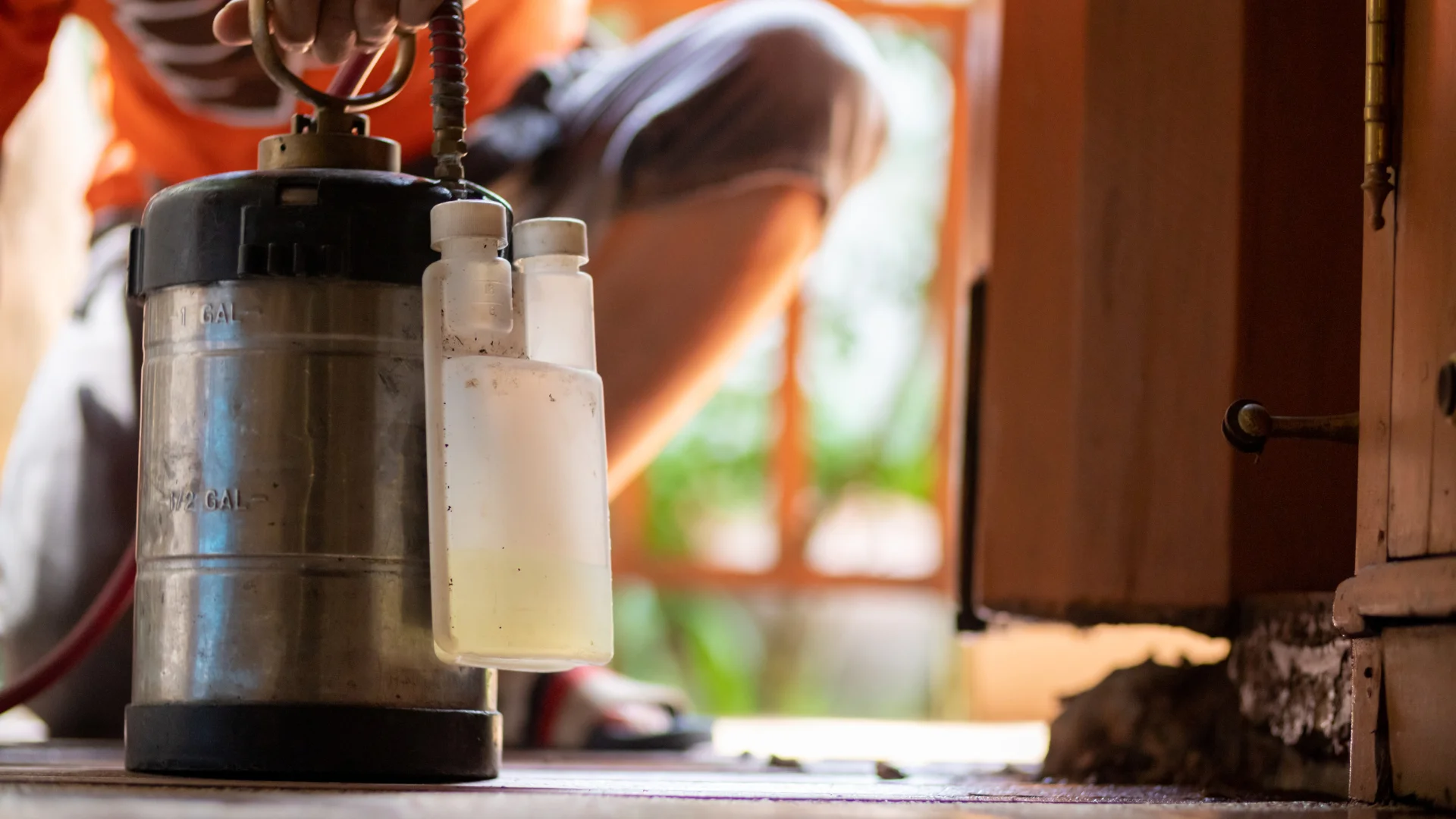 Termite Treatment