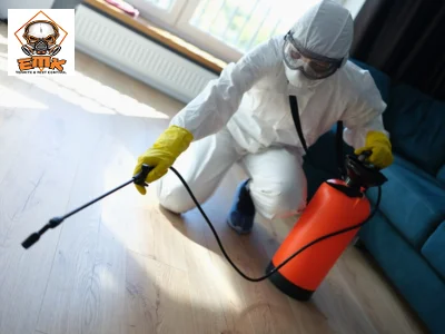 Termite Treatment
