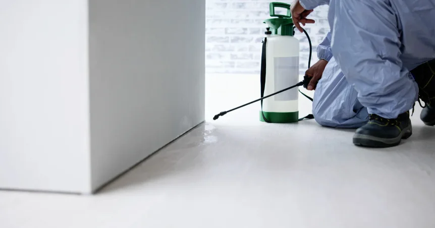 Termite Treatment