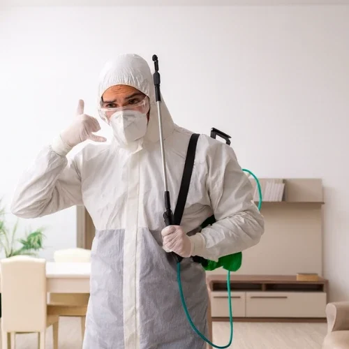 office pest control sydney