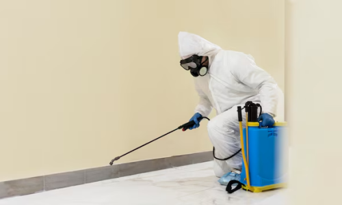 Chemical termite treatment Chemical termite treatment