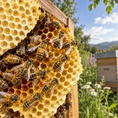 Carniolan Honey Bees