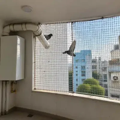 Bird Proofing solutions