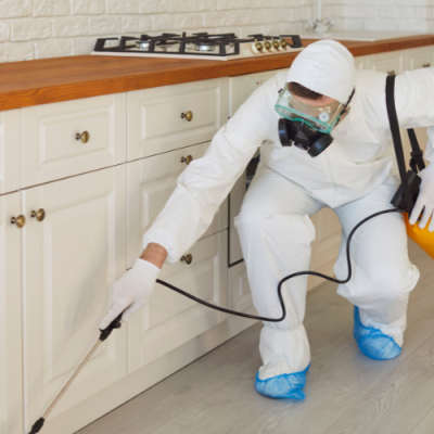 Residential Pest Control Ashfield